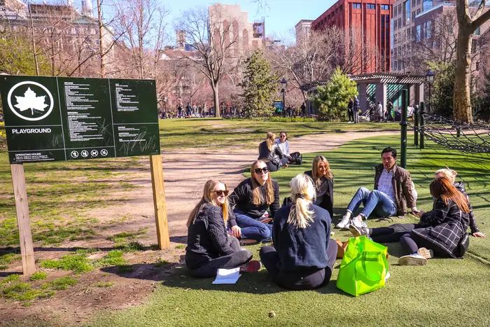 A group of people sit in close proximity on the grass in Washington Square Park in NYC against the advice from officials and health experts.